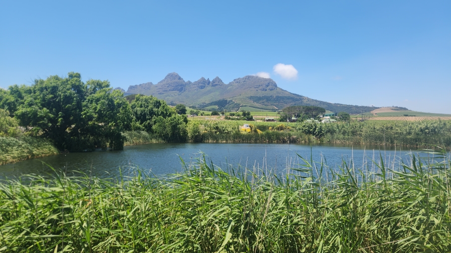 Commercial Property for Sale in Stellenbosch Farms Western Cape